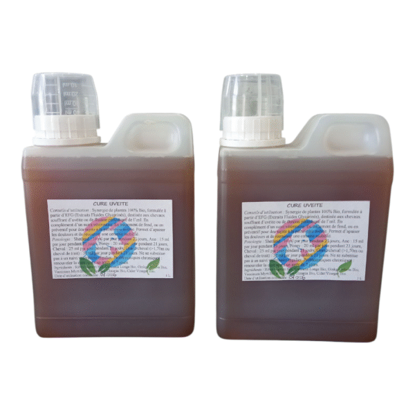 Cure Uvéite cheval – Image 4