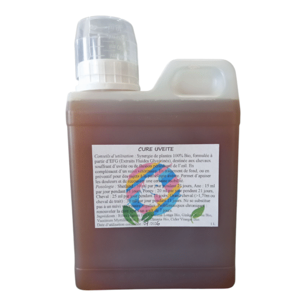Cure Uvéite cheval